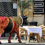 cow-bordeaux-59_mini