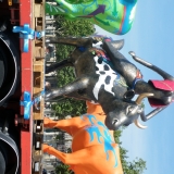 dscf6162