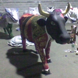 photo062